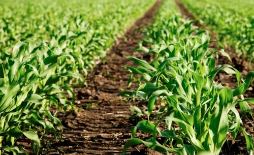 Captura-de-Tela-2023-03-05-as-19.36.00